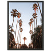 Beverly Hills - Shutter and Frame