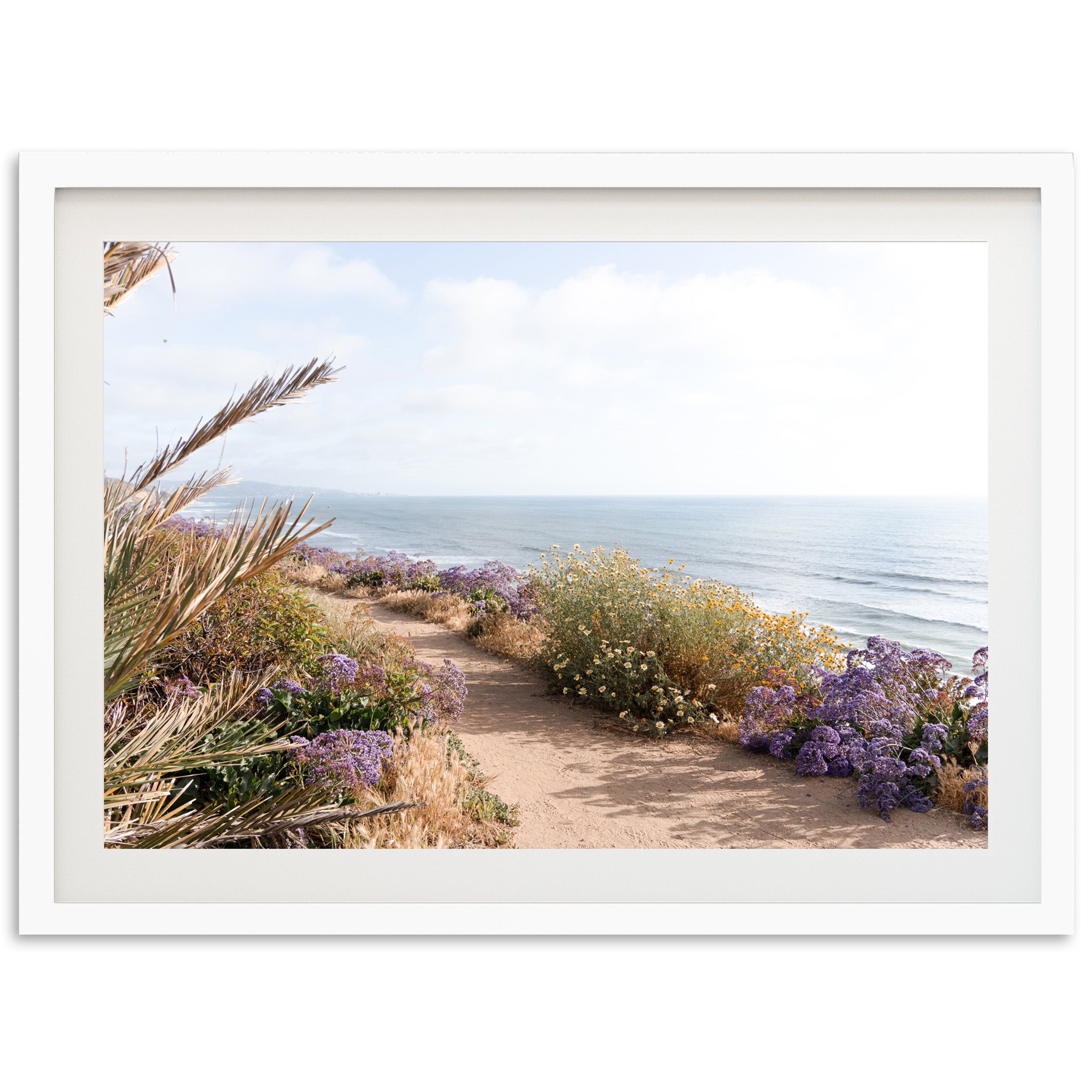 Coast Walk - Shutter and Frame