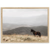 Open Range - Shutter and Frame
