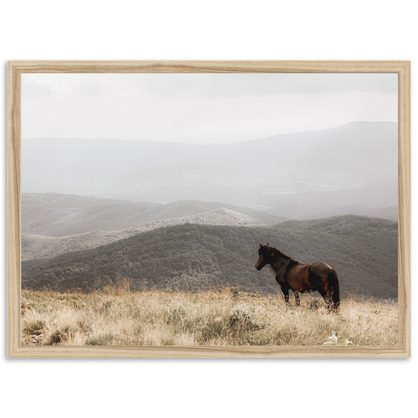 Open Range - Shutter and Frame