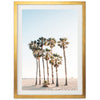Beach Palms - Shutter and Frame