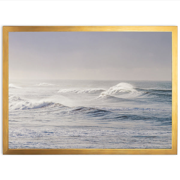 Windswell - Shutter and Frame