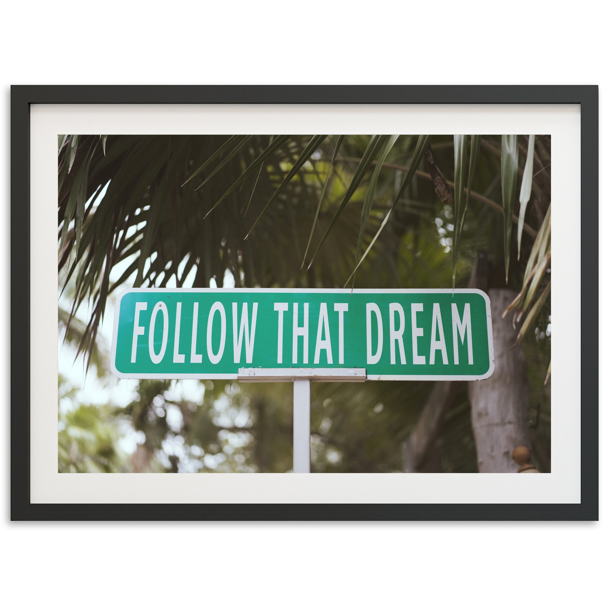 Follow that Dream - Shutter and Frame