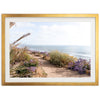 Coast Walk - Shutter and Frame