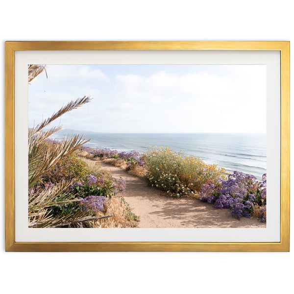 Coast Walk - Shutter and Frame