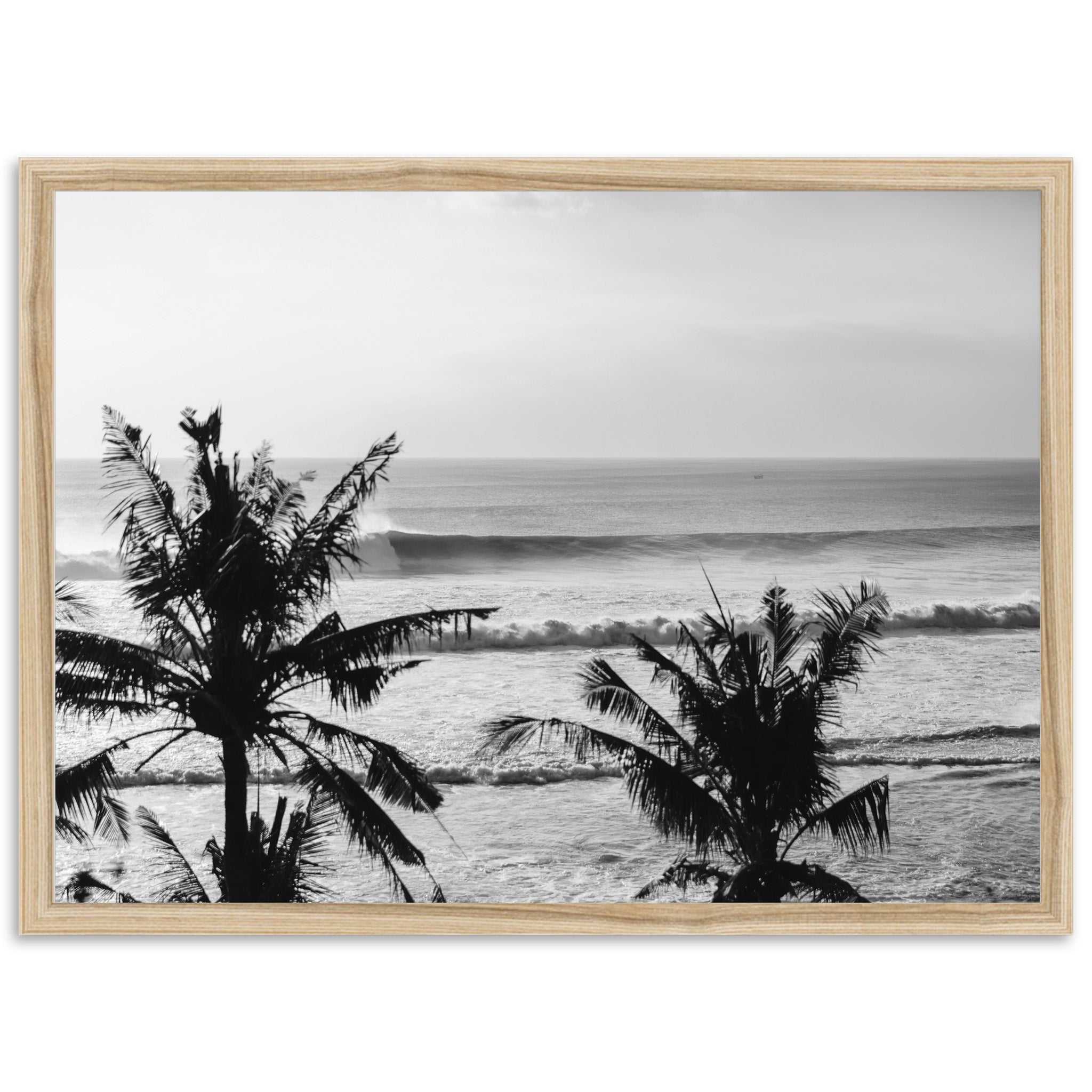 Indo Swell II - Shutter and Frame