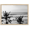 Indo Swell II - Shutter and Frame