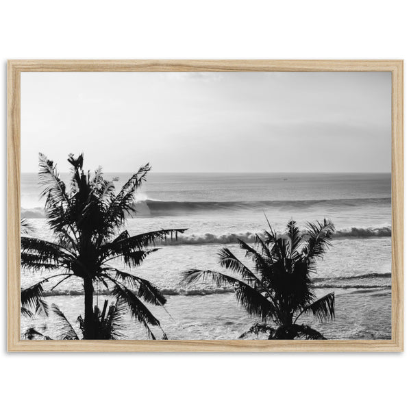 Indo Swell II - Shutter and Frame
