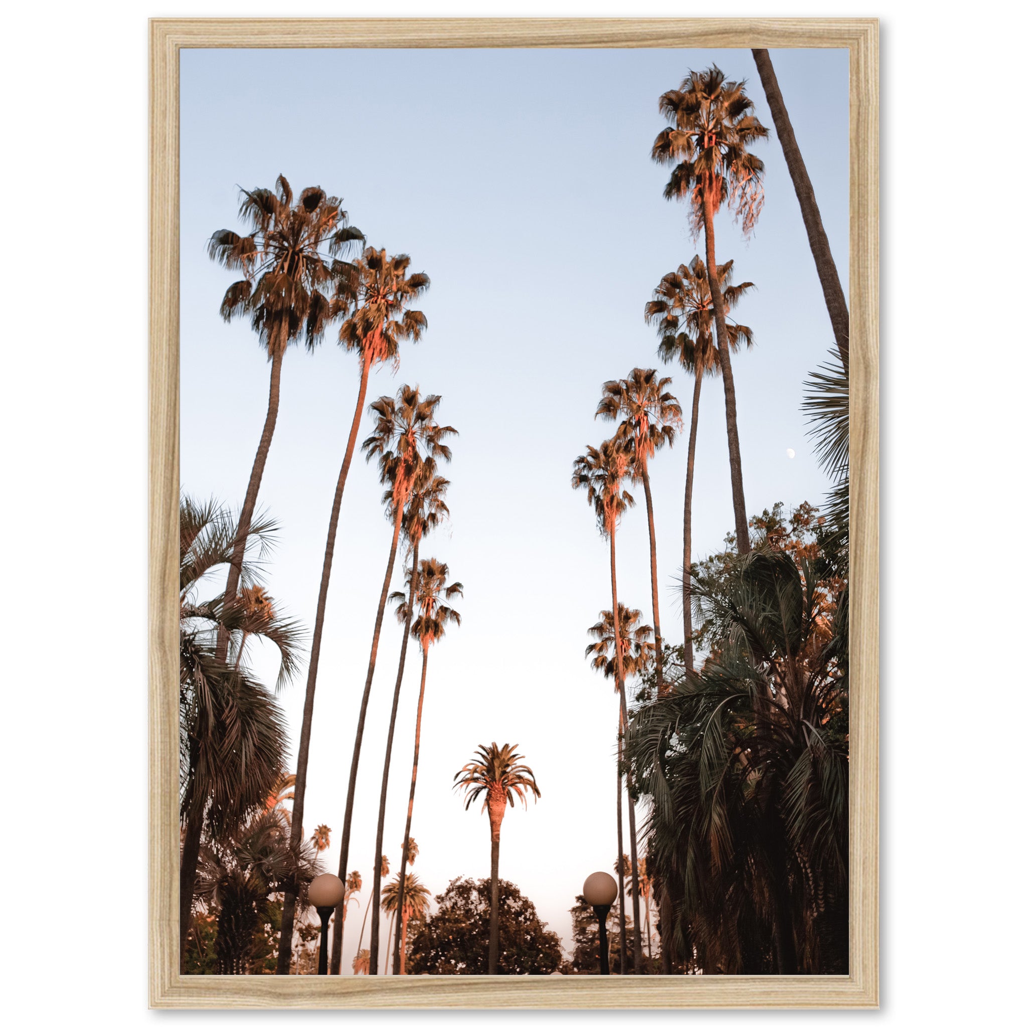 Beverly Hills - Shutter and Frame