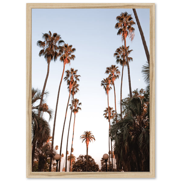 Beverly Hills - Shutter and Frame