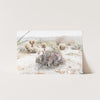 Desert Roses - Shutter and Frame