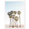 Beach Palms - Shutter and Frame
