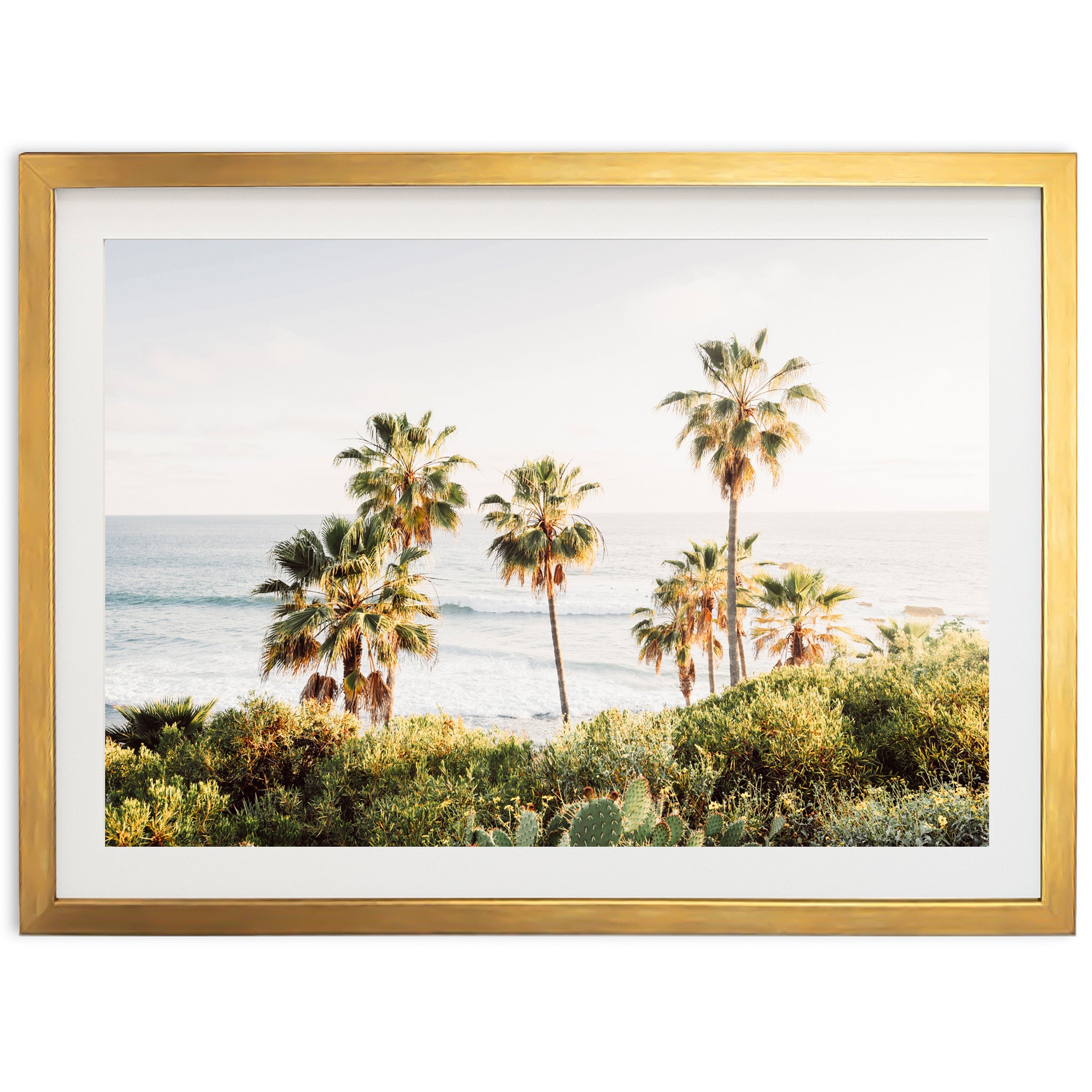 Destination - Shutter and Frame