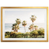 Destination - Shutter and Frame