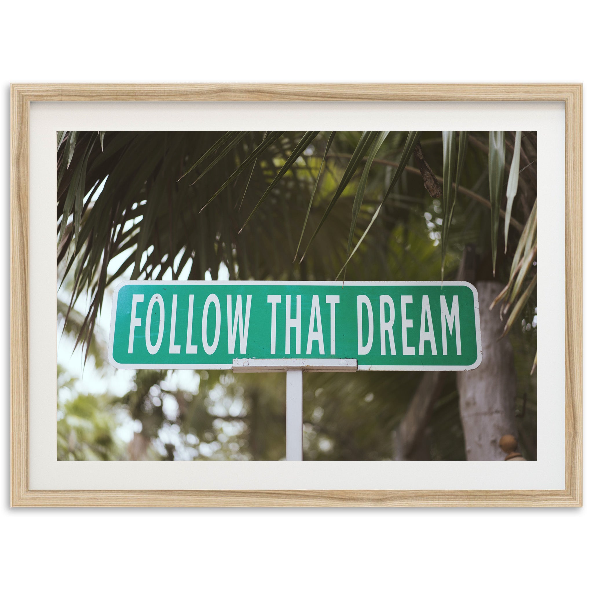 Follow that Dream - Shutter and Frame