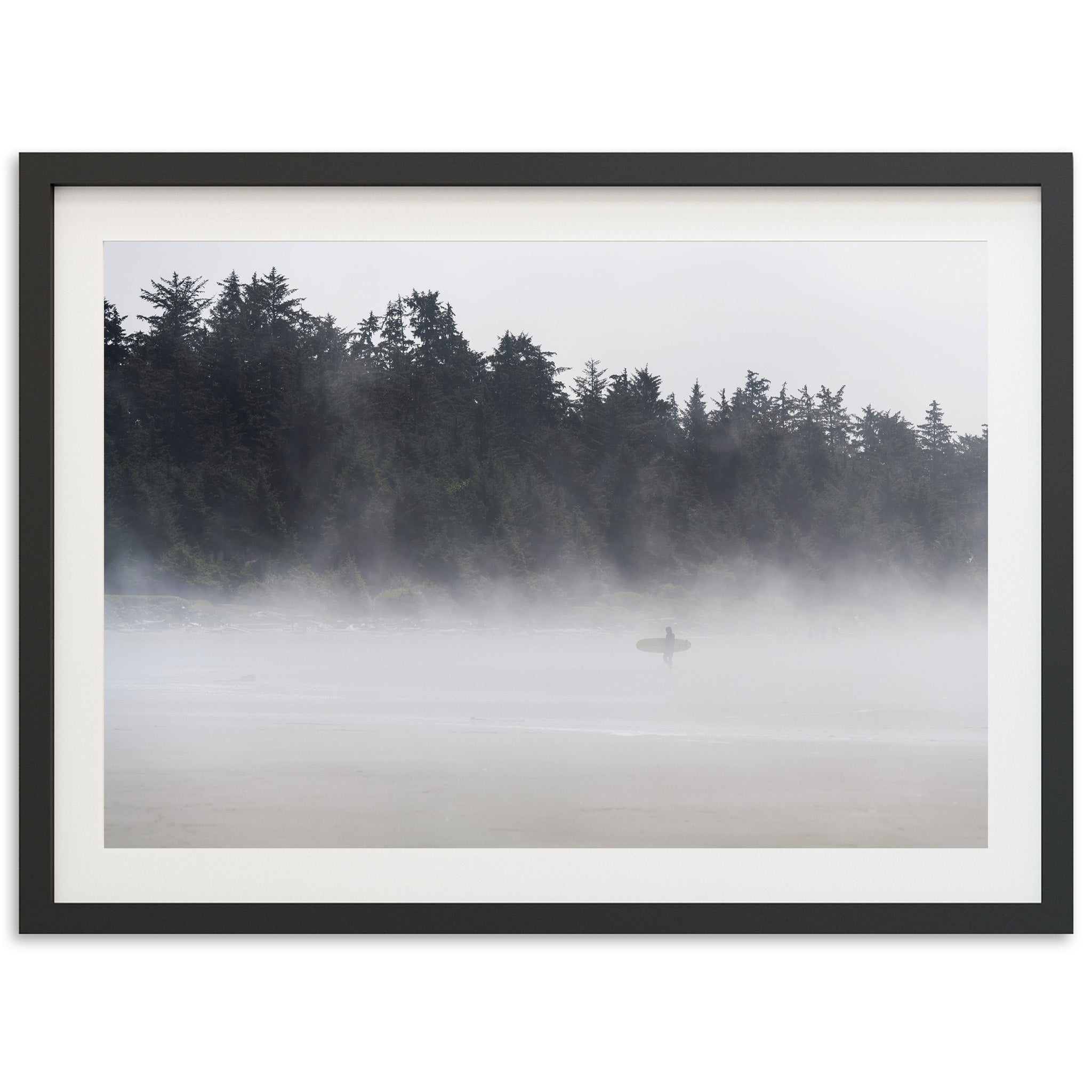 Lost Coast - Shutter and Frame