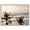 Indo Swell - Shutter and Frame