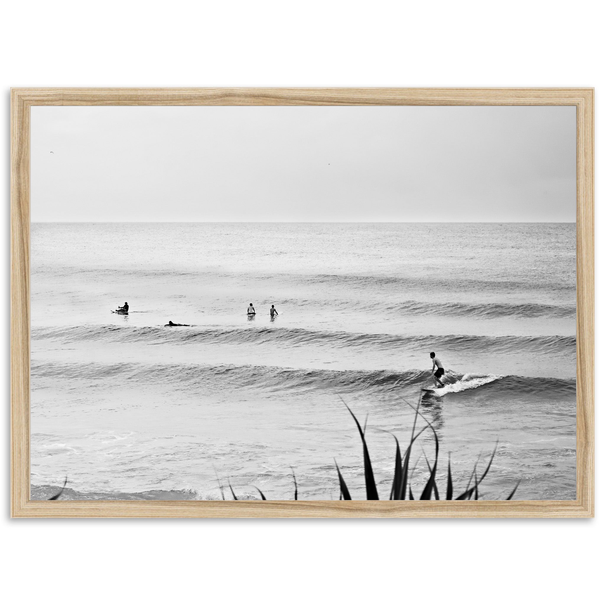 Endless Summer - Shutter and Frame