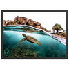 Marine Room - Shutter and Frame