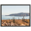 La Paz - Shutter and Frame