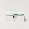 Orca - Shutter and Frame