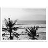 Indo Swell II - Shutter and Frame