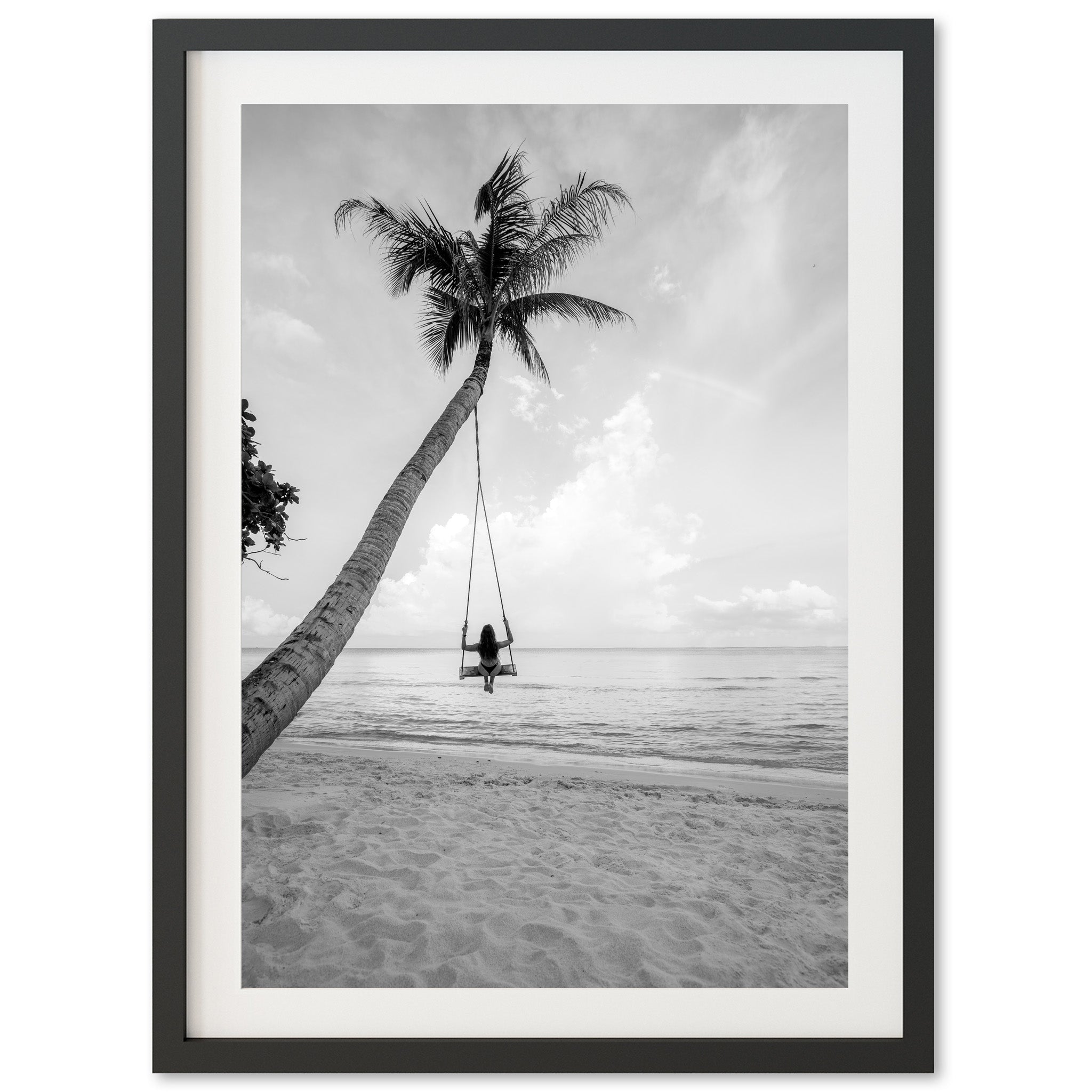 Palm Swing II - Shutter and Frame