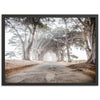 Tunnel Vision - Shutter and Frame