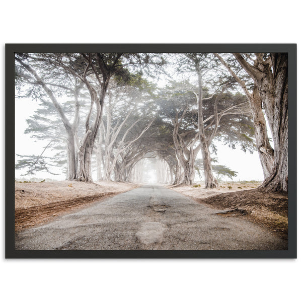 Tunnel Vision - Shutter and Frame