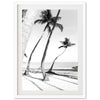 Hammock - Shutter and Frame