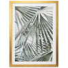 Palm Fan - Shutter and Frame