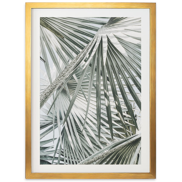 Palm Fan - Shutter and Frame