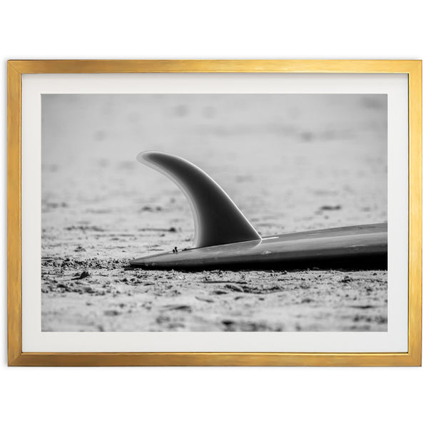 Single Fin - Shutter and Frame