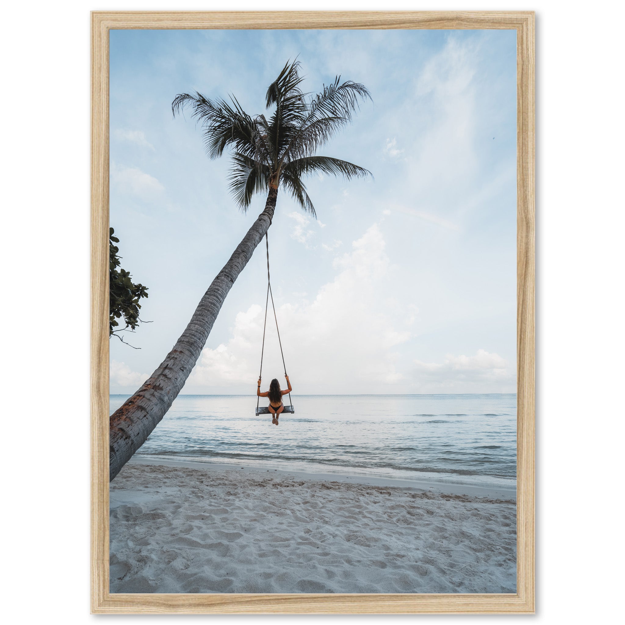 Palm Swing - Shutter and Frame