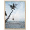 Palm Swing - Shutter and Frame