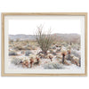 Ocotillo - Shutter and Frame