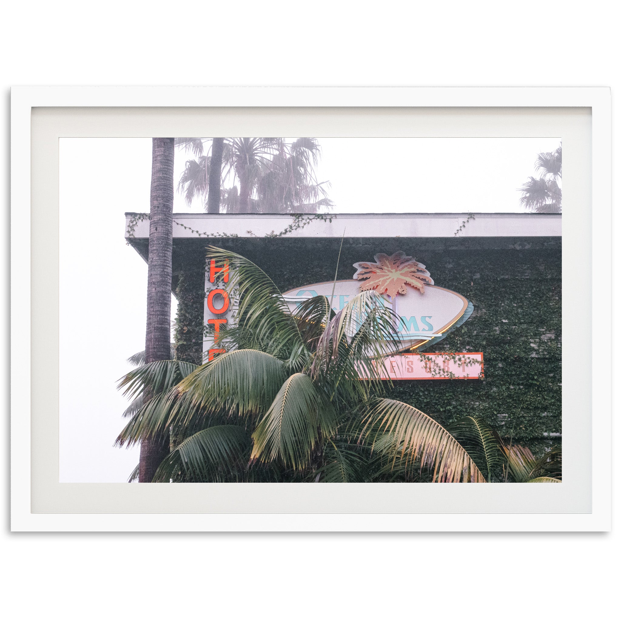 Beach Motel - Shutter and Frame