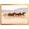 Gallop - Shutter and Frame