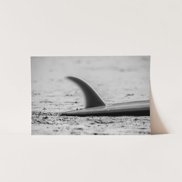 Single Fin - Shutter and Frame