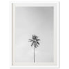 One Palm - Shutter and Frame