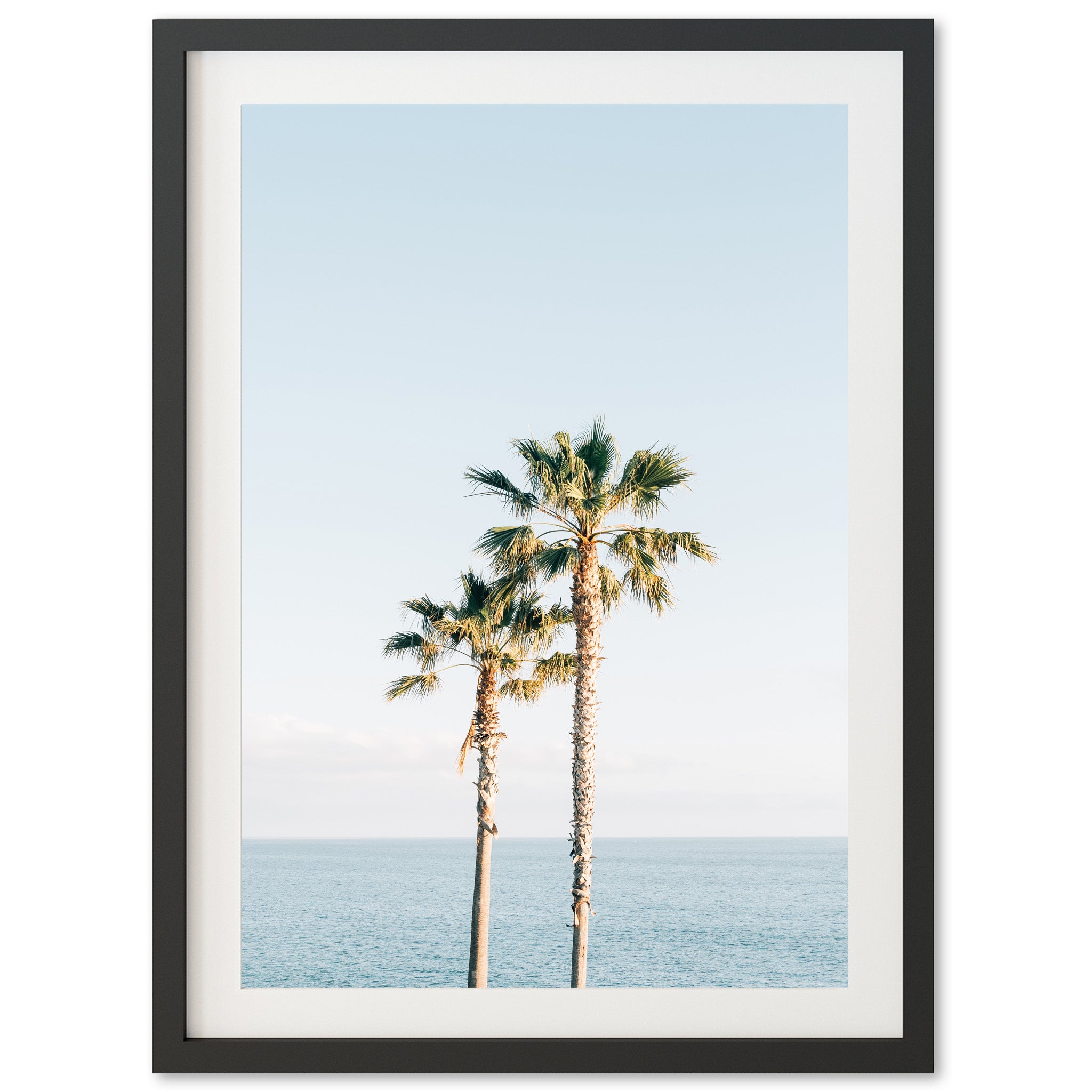 Ocean Palms - Shutter and Frame