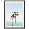 Ocean Palms - Shutter and Frame