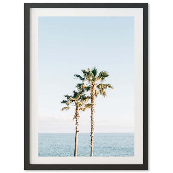 Ocean Palms - Shutter and Frame
