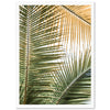 Shades of Green - Shutter and Frame