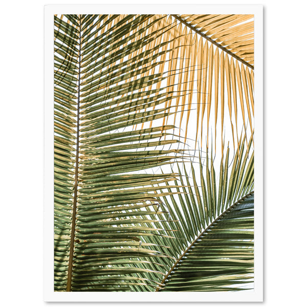 Shades of Green - Shutter and Frame