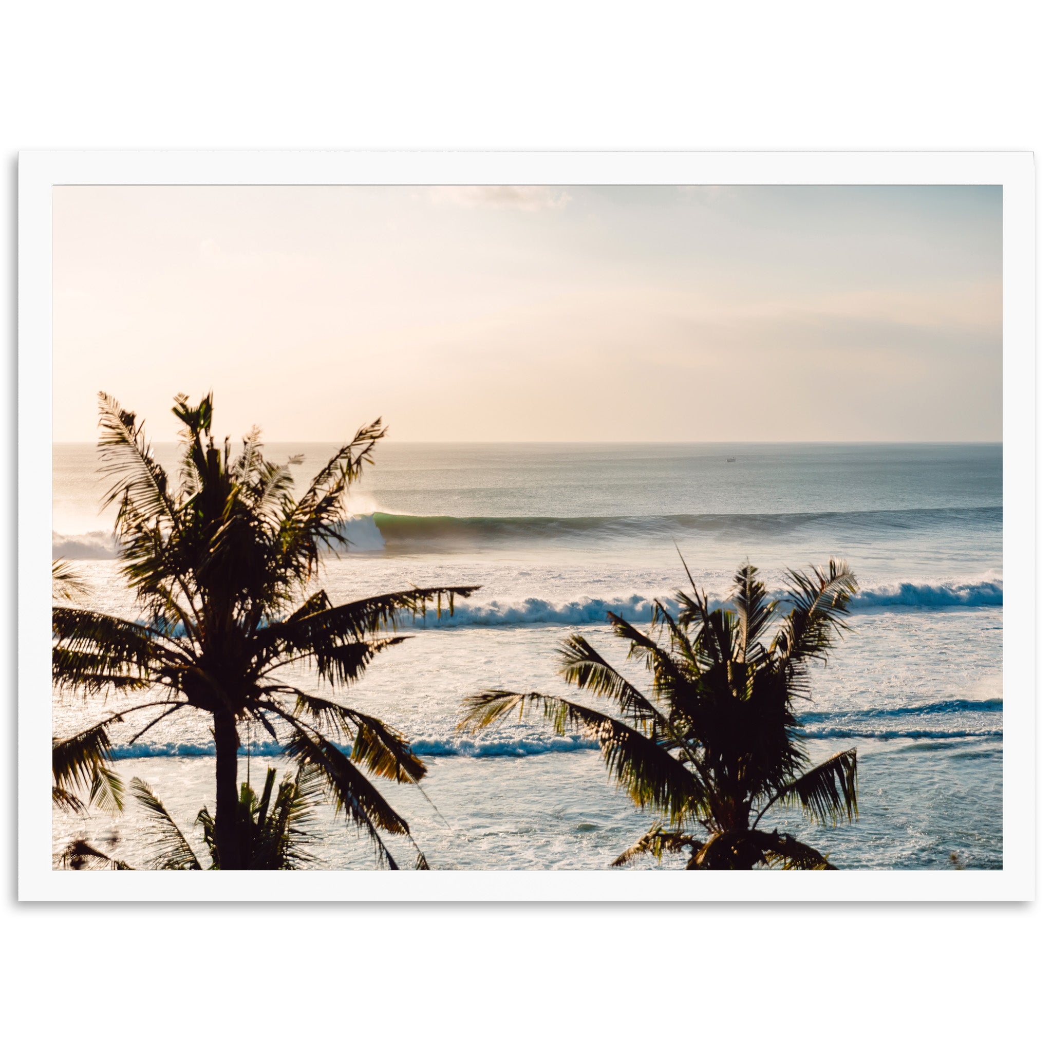 Indo Swell - Shutter and Frame