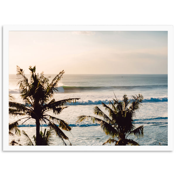 Indo Swell - Shutter and Frame