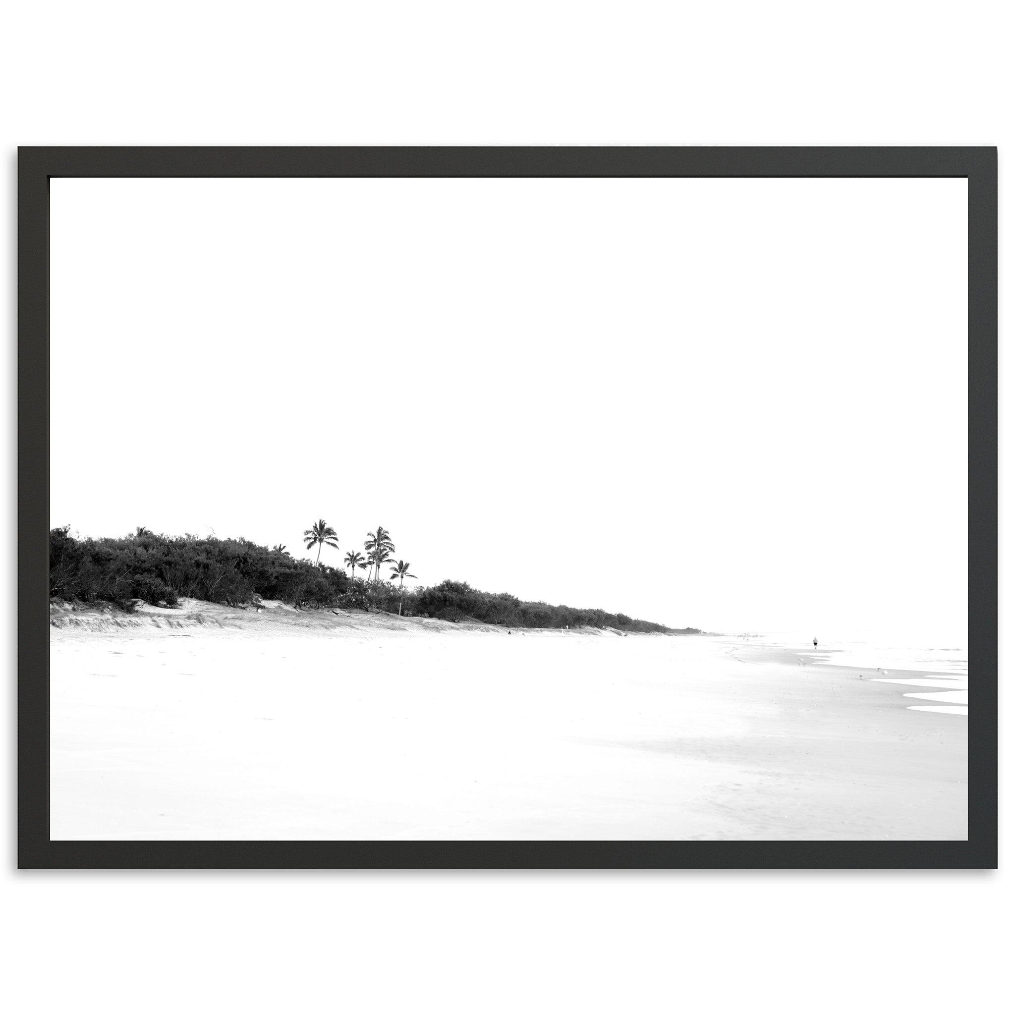 Balance - Shutter and Frame
