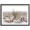 Ocotillo - Shutter and Frame