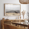 Open Range - Shutter and Frame